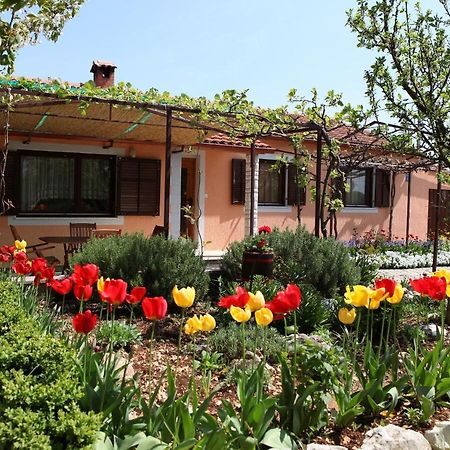 Villa Fragola - Holiday House With Large Garden Tinjan Exteriér fotografie