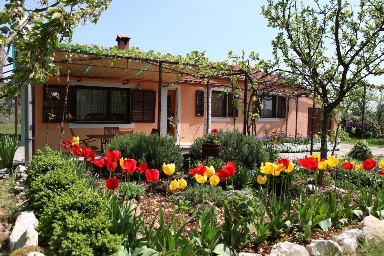 Villa Fragola - Holiday House With Large Garden Tinjan Exteriér fotografie